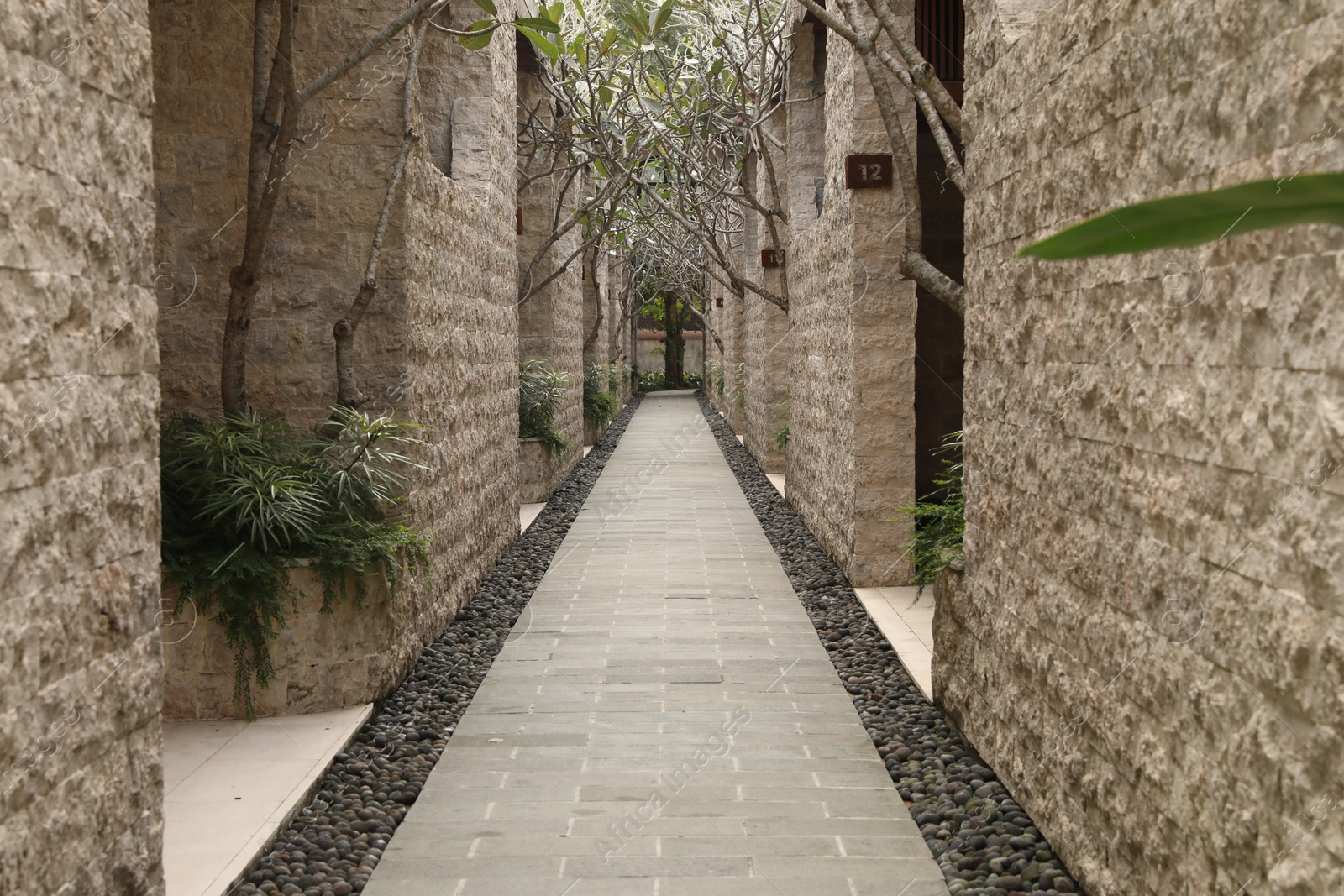 Bali, Indonesia - June 04, 2025: View of pathway, building and green plants Photo of Bali, Indonesia - June 04, 2025: View of pathway, building and green plants