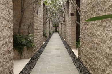 Photo of Bali, Indonesia - June 04, 2025: View of pathway, building and green plants