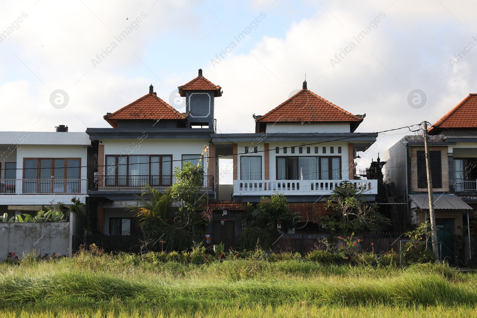 Beautiful building and plants growing outdoors on sunny day Photo of Beautiful building and plants growing outdoors on sunny day