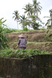 Photo of Bali, Indonesia - June 7, 2025: Woman working in field outdoors, back view