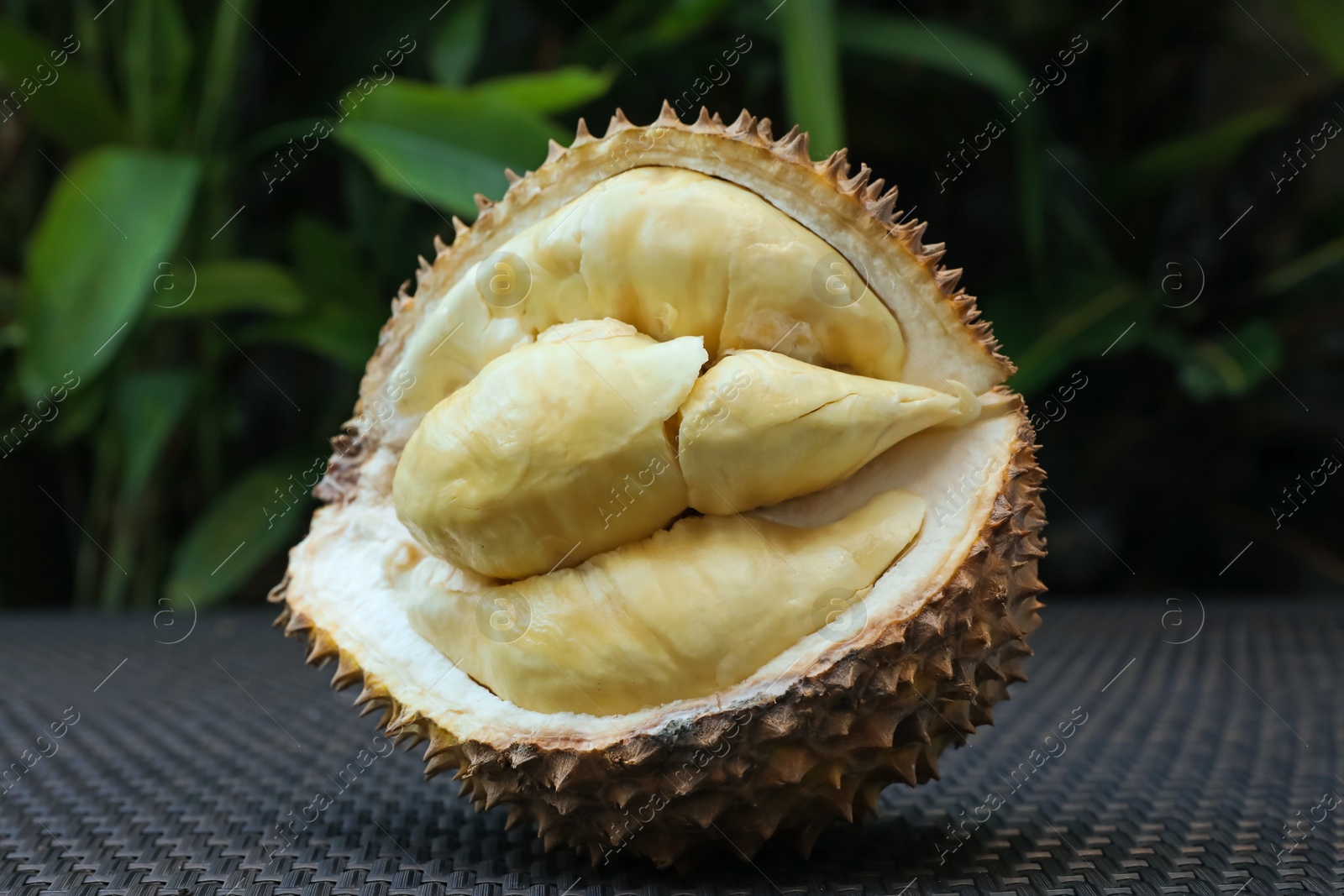 Fresh ripe durian on wicker table outdoors, closeup Photo of Fresh ripe durian on wicker table outdoors, closeup