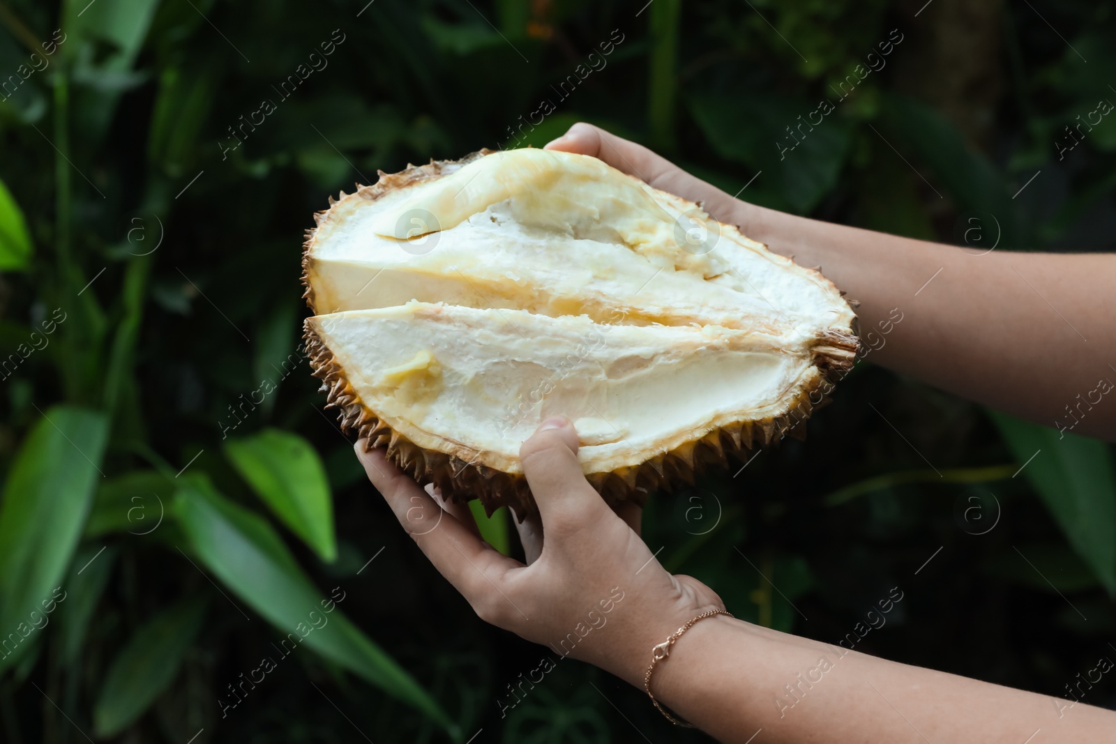 Woman with fresh ripe durian outdoors, closeup Photo of Woman with fresh ripe durian outdoors, closeup