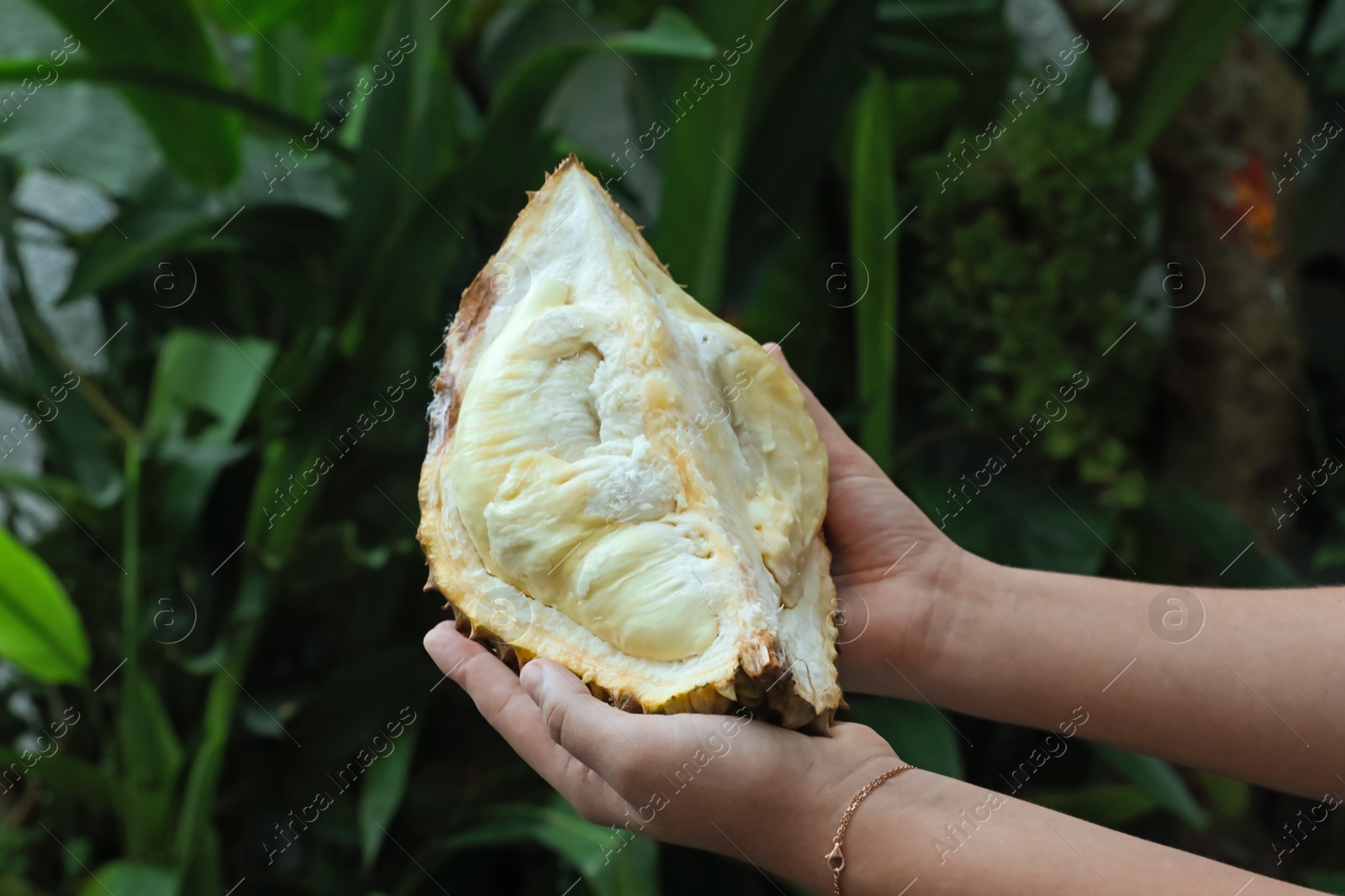 Woman with fresh ripe durian outdoors, closeup Photo of Woman with fresh ripe durian outdoors, closeup
