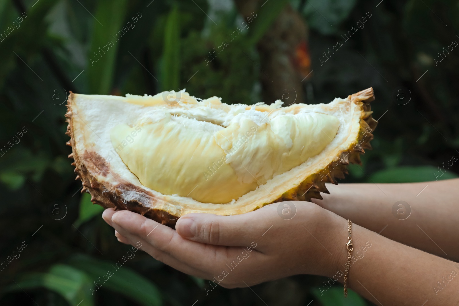 Woman with fresh ripe durian outdoors, closeup Photo of Woman with fresh ripe durian outdoors, closeup