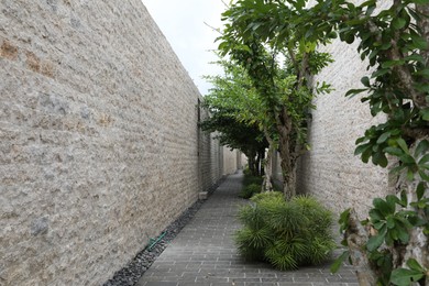 Photo of Beautiful paved pathway, walls and trees outdoors