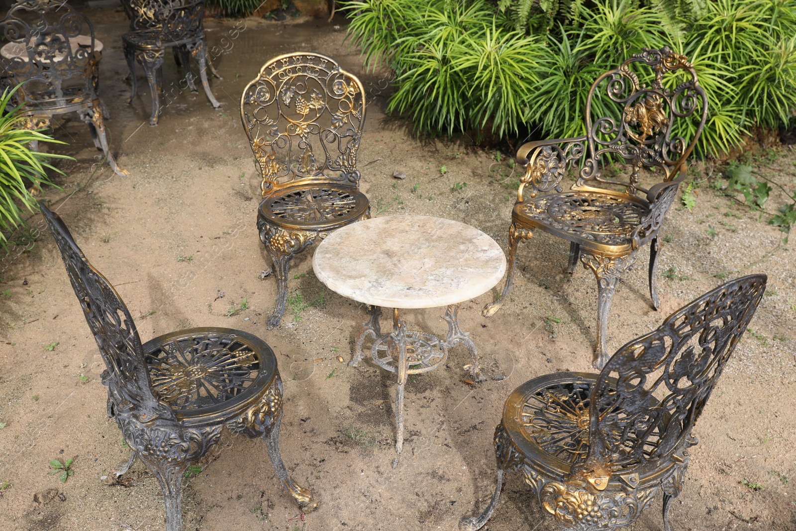 Metal chairs and table near plants outdoors Photo of Metal chairs and table near plants outdoors