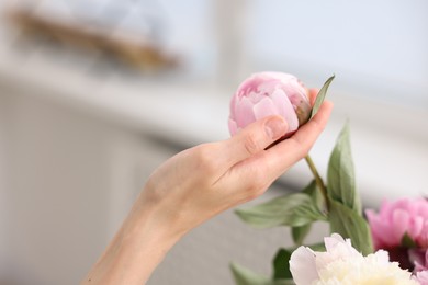 Photo of Florist with beautiful peonies in flower shop, closeup