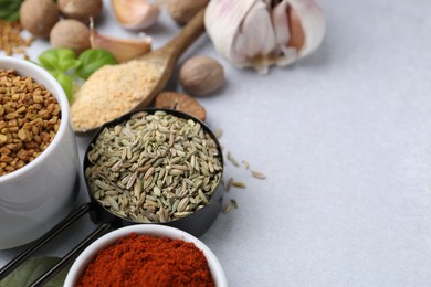 Photo of Different aromatic spices on light grey table, closeup. Space for text