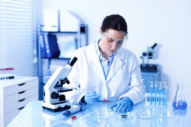 Photo of Scientist working with sample in Petri dish at table in laboratory