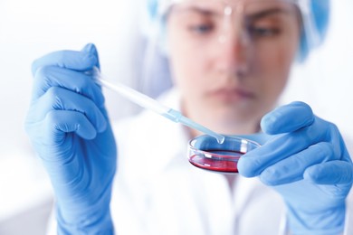 Photo of Scientist working with sample in Petri dish in laboratory, selective focus