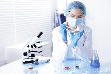 Photo of Scientist working with sample in Petri dish at table in laboratory