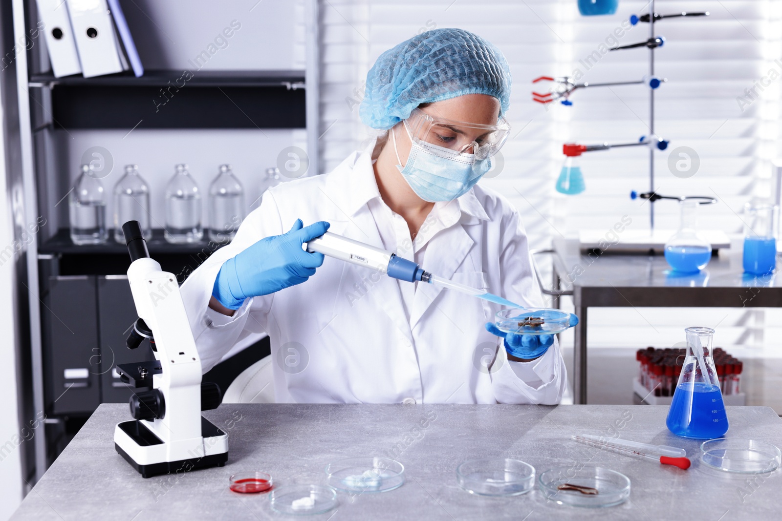 Photo of Scientist working with sample in Petri dish at table in laboratory