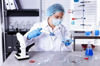 Photo of Scientist working with sample in Petri dish at table in laboratory