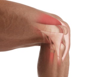 Image of Anatomy of knee. Man with illustration on his leg against white background, closeup