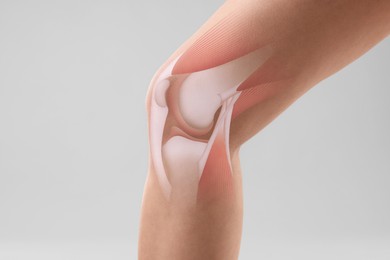 Image of Anatomy of knee. Woman with illustration on her leg against grey background, closeup