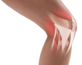 Image of Anatomy of knee. Woman with illustration on her leg against white background, closeup