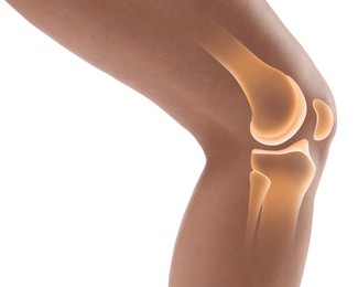 Image of Anatomy of knee. Woman with illustration on her leg against white background, closeup