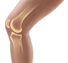 Image of Anatomy of knee. Woman with illustration on her leg against white background, closeup