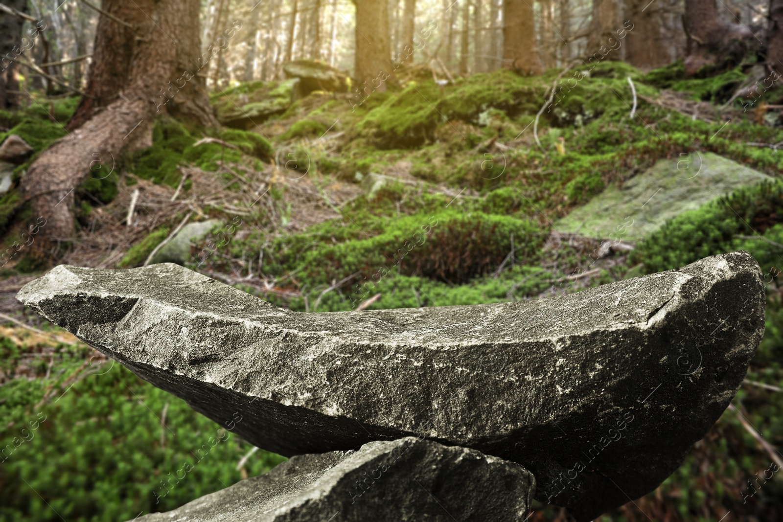 Podium for product presentation made of stones in forest. Space for design Image of Podium for product presentation made of stones in forest. Space for design