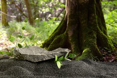 Image of Podium for product presentation. Stone and green branches on black sand in forest. Stylish promotion poster