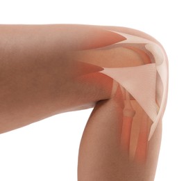 Image of Anatomy of knee. Woman with illustration on her leg against white background, closeup