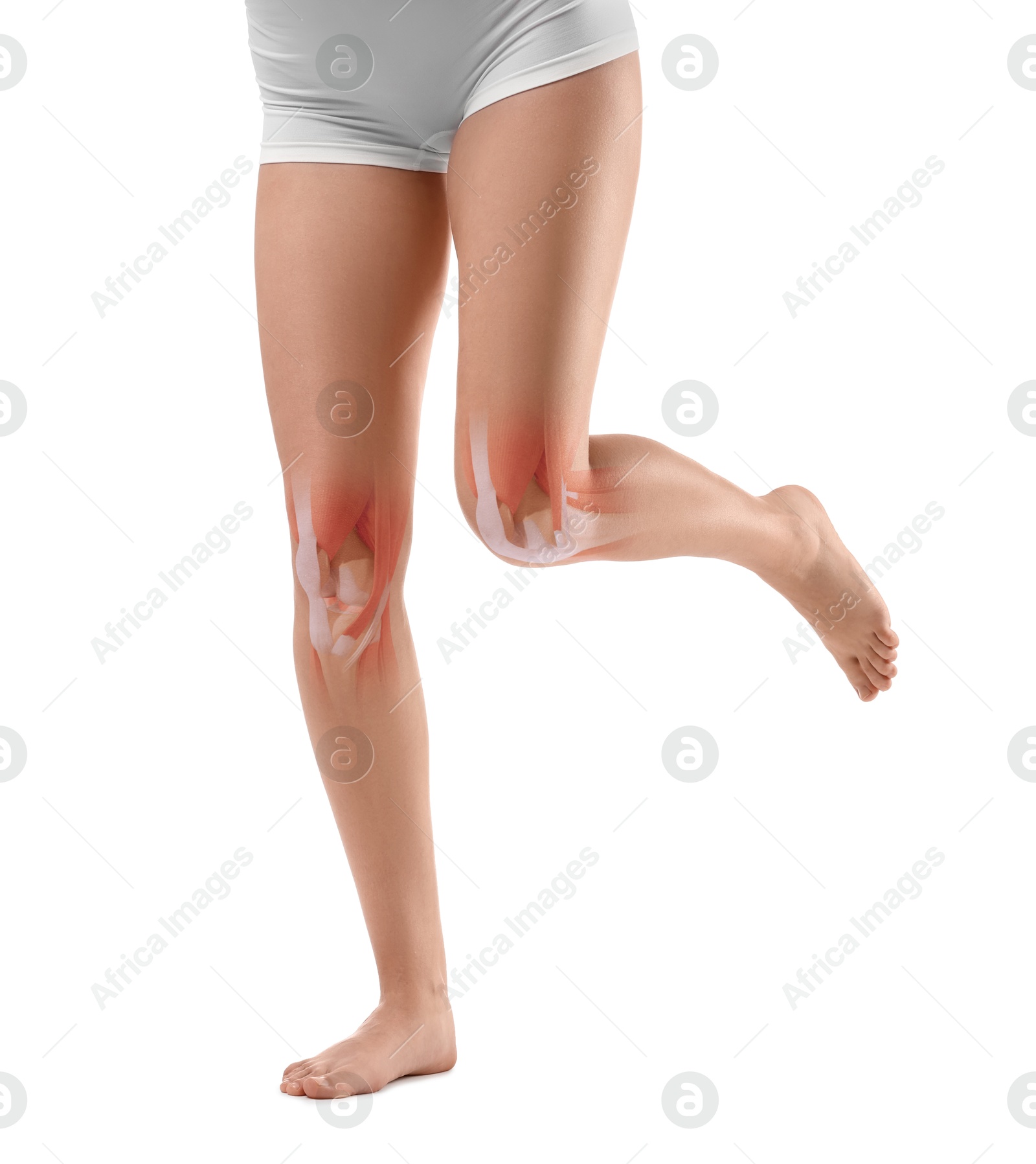 Anatomy of knee. Woman running against white background, closeup. Illustration on her leg Image of Anatomy of knee. Woman running against white background, closeup. Illustration on her leg