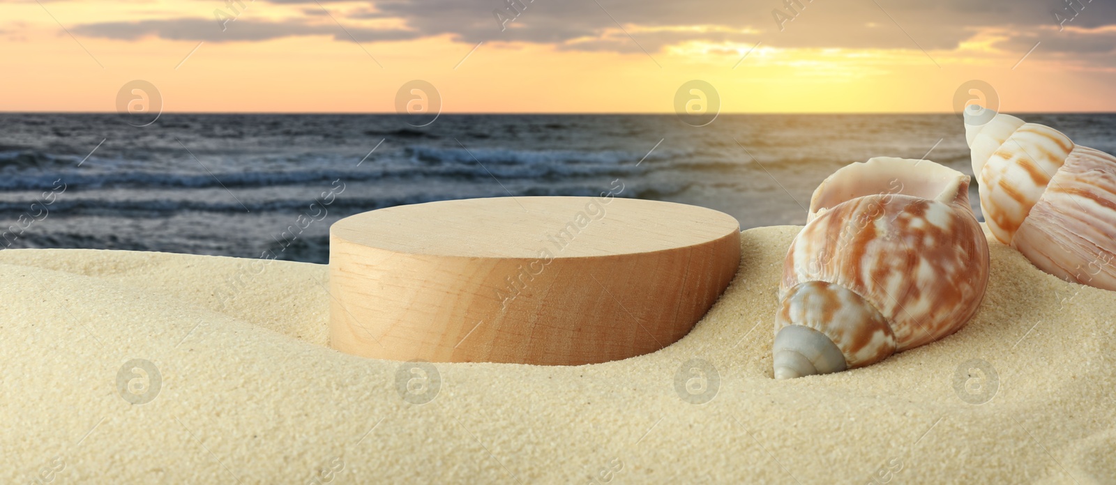 Image of Podium for product promotion and seashells on sand near sea at sunset, banner design. Stylish presentation