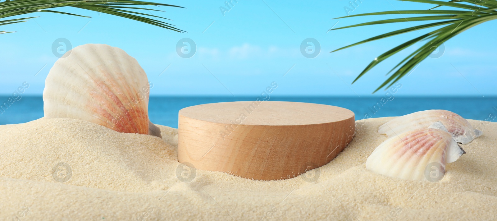 Podium for product promotion on sand under green palm leaves near blue sea, banner design. Stylish presentation Image of Podium for product promotion on sand under green palm leaves near blue sea, banner design. Stylish presentation