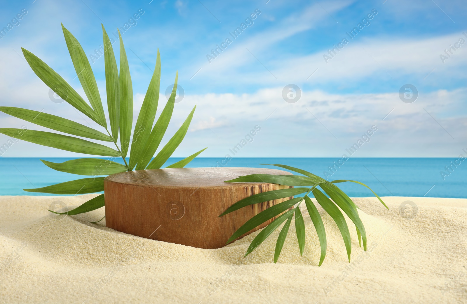 Podium for product presentation with green leaves on sand near blue sea. Stylish promotion poster Image of Podium for product presentation with green leaves on sand near blue sea. Stylish promotion poster