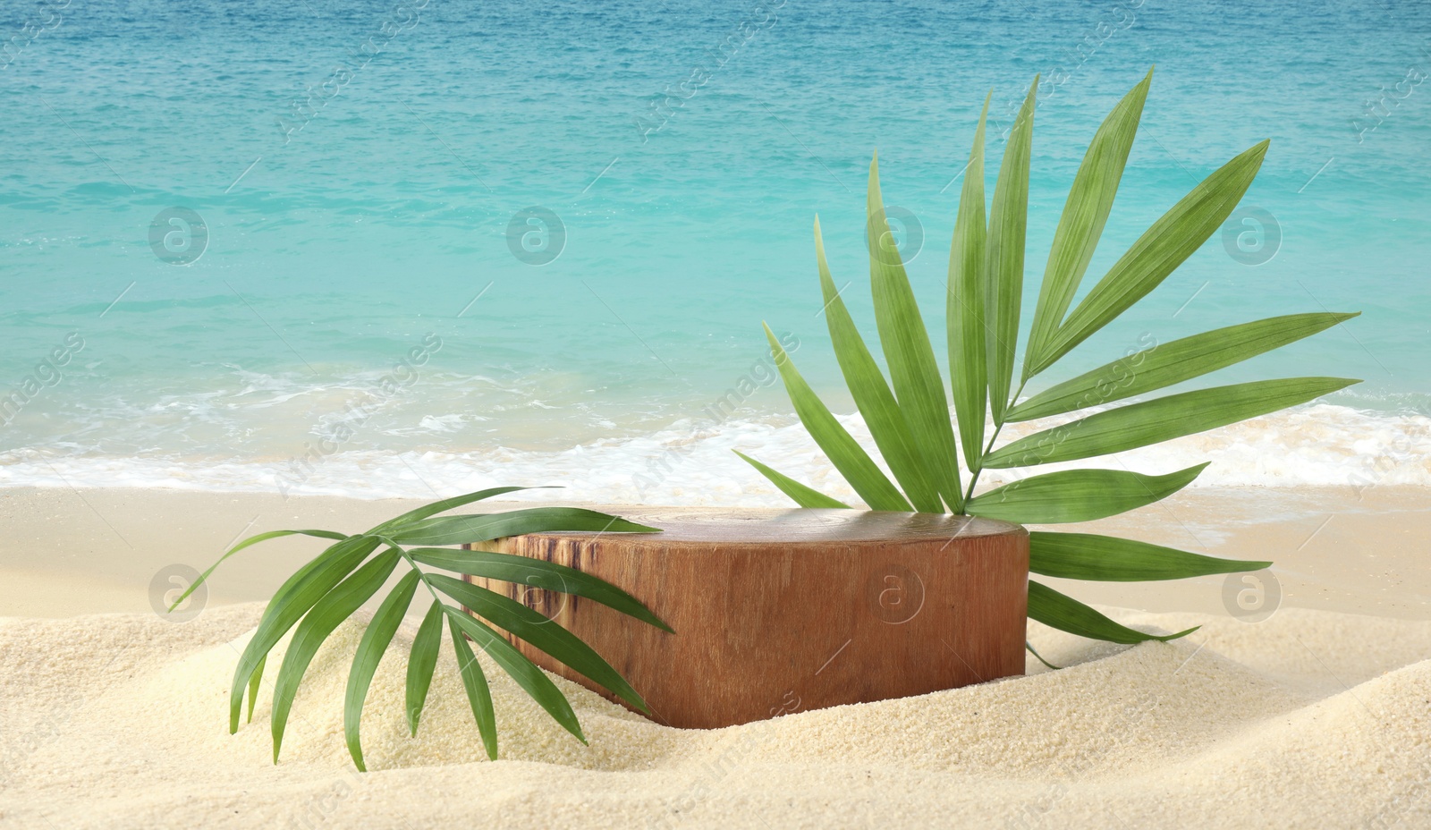 Podium for product presentation with green leaves on sand near turquoise ocean, banner design. Stylish promotion poster Image of Podium for product presentation with green leaves on sand near turquoise ocean, banner design. Stylish promotion poster