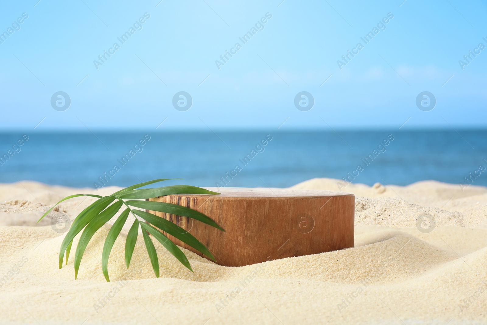 Podium for product presentation with green leaf on sand near blue sea. Stylish promotion poster Image of Podium for product presentation with green leaf on sand near blue sea. Stylish promotion poster