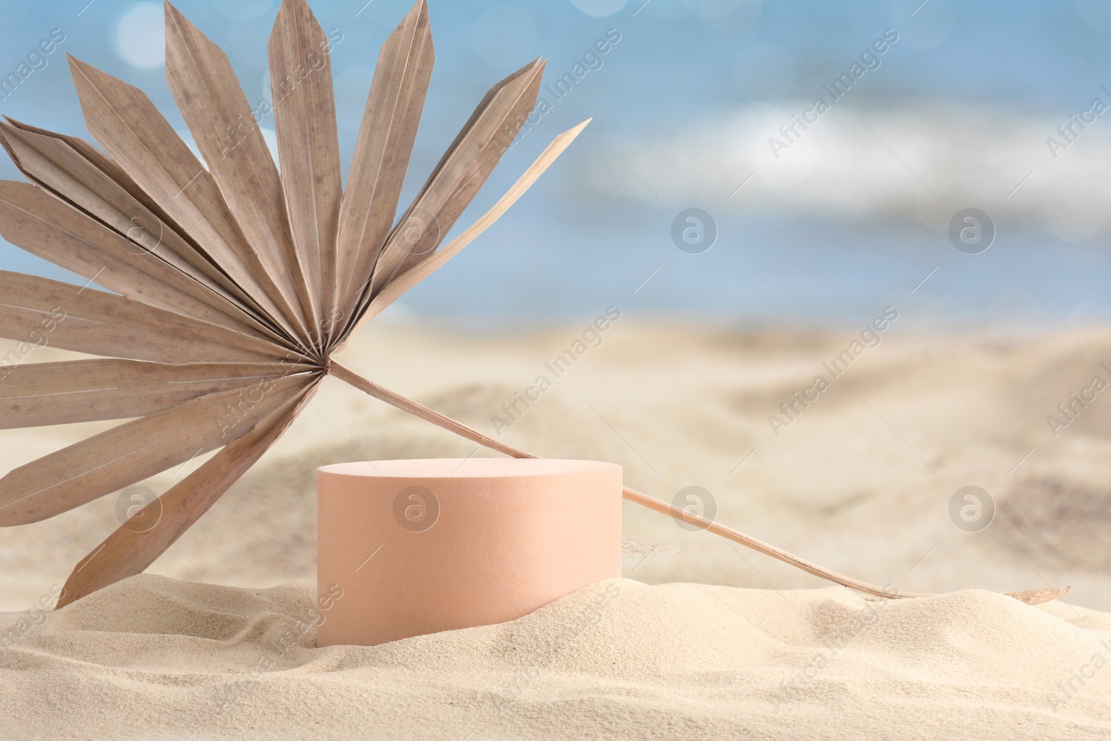 Podium for product presentation with dry palm leaf on sand. Stylish promotion poster Image of Podium for product presentation with dry palm leaf on sand. Stylish promotion poster