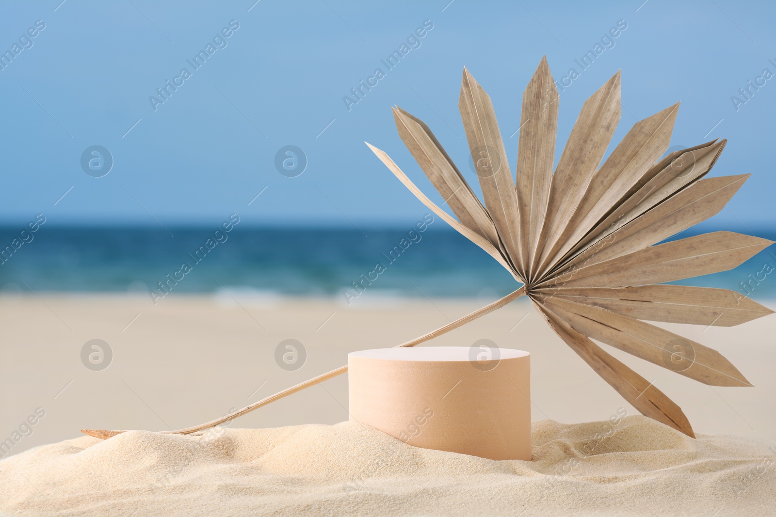 Podium for product presentation with dry palm leaf on sand near blue sea. Stylish promotion poster Image of Podium for product presentation with dry palm leaf on sand near blue sea. Stylish promotion poster