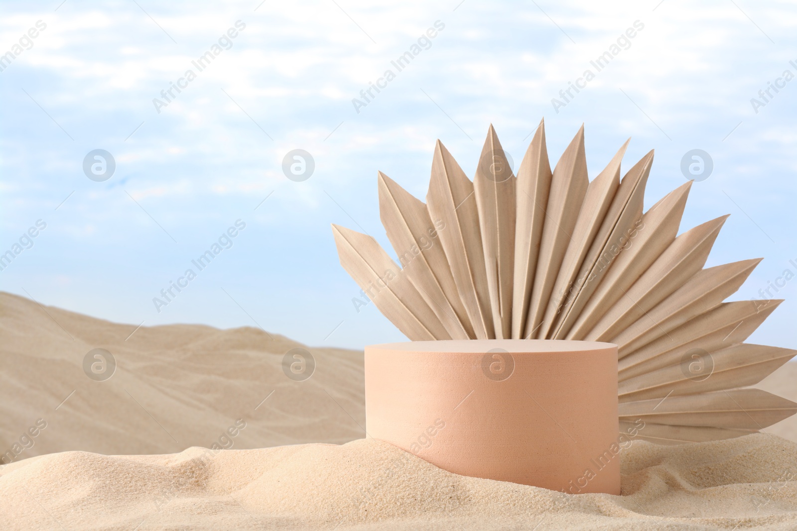 Podium for product presentation with dry palm leaf on sand. Stylish promotion poster Image of Podium for product presentation with dry palm leaf on sand. Stylish promotion poster