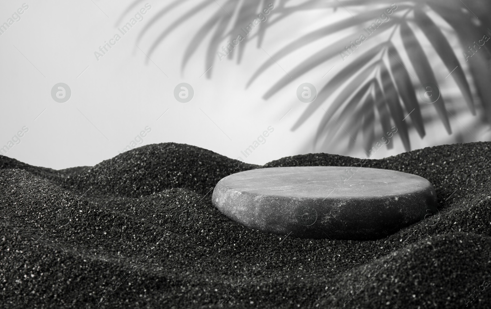 Podium for product presentation. Stone on black sand against white background with shadow of leaves. Stylish promotion poster Image of Podium for product presentation. Stone on black sand against white background with shadow of leaves. Stylish promotion poster