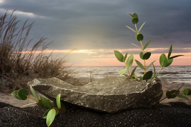 Image of Podium for product presentation. Stone and green branches on black sand near sea at sunset. Stylish promotion poster