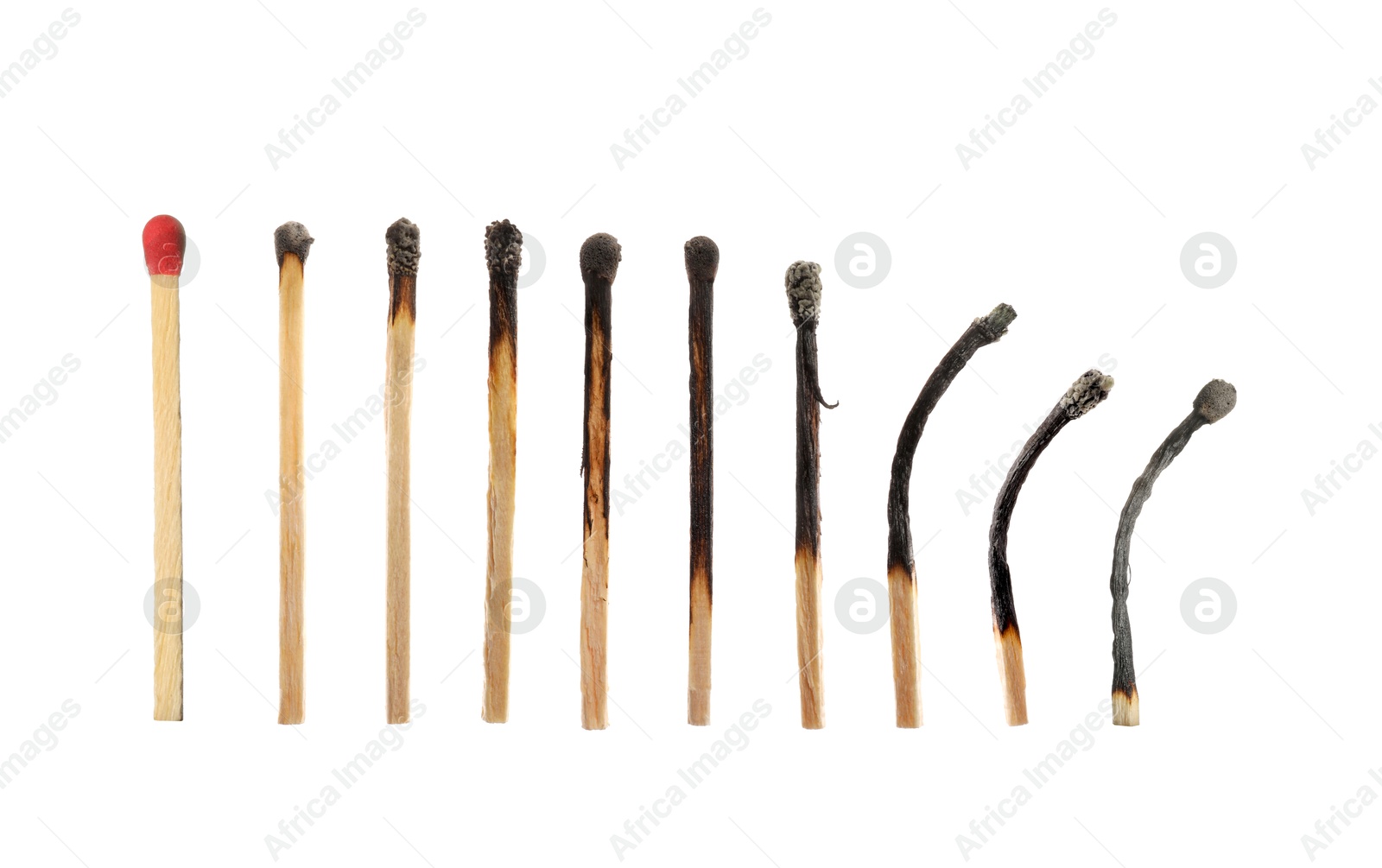 Burnt matches and whole one on white background Image of Burnt matches and whole one on white background