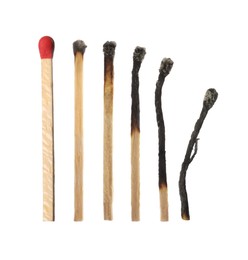 Image of Matches on white background, collage with stages from whole to completely burnt