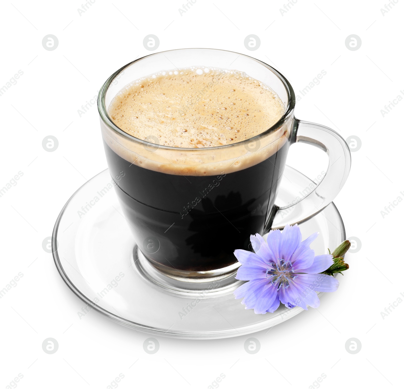 Chicory drink in glass cup and flower isolated on white Image of Chicory drink in glass cup and flower isolated on white