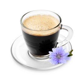 Image of Chicory drink in glass cup and flower isolated on white