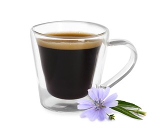 Image of Chicory drink in glass cup and flower isolated on white