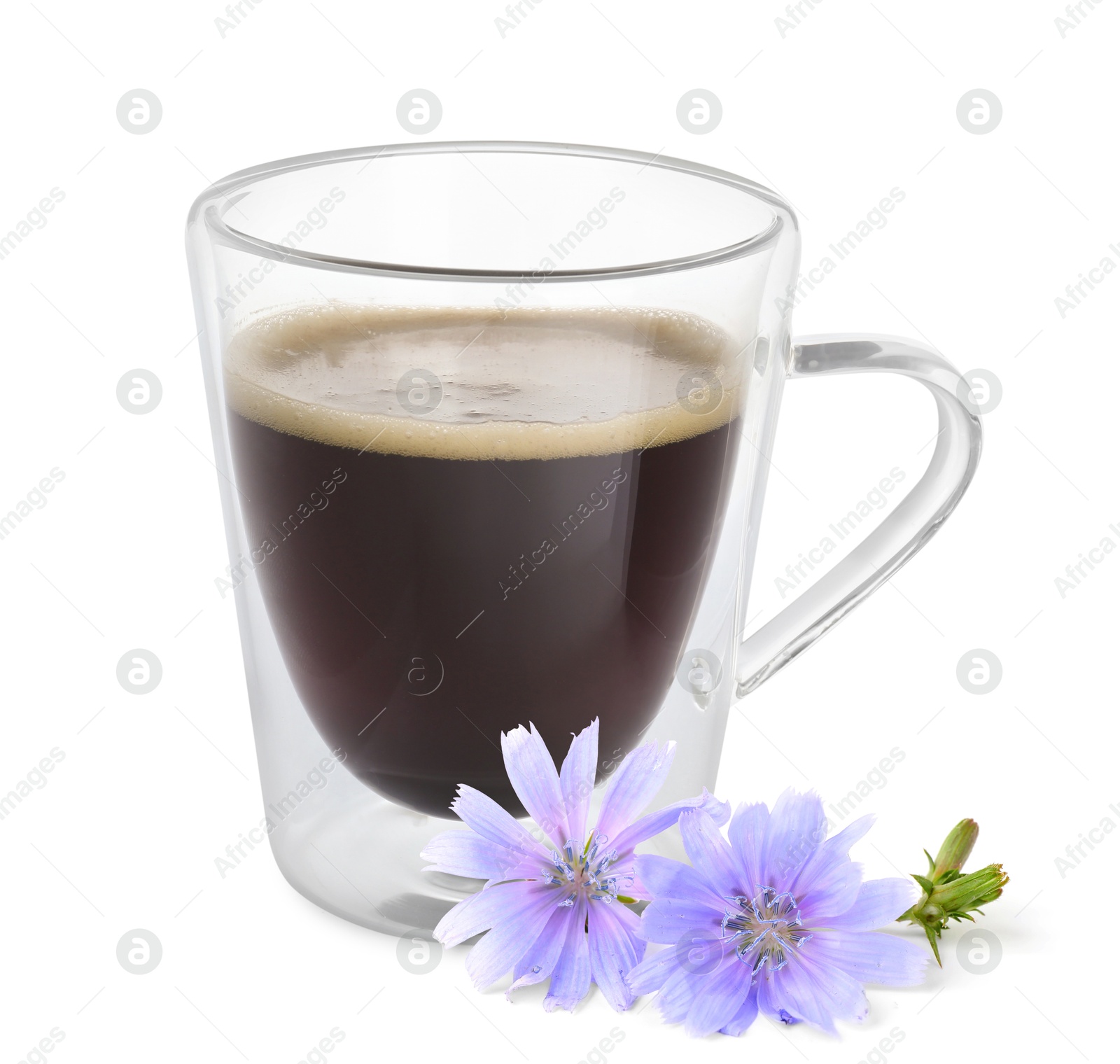 Chicory drink in glass cup and flowers isolated on white Image of Chicory drink in glass cup and flowers isolated on white