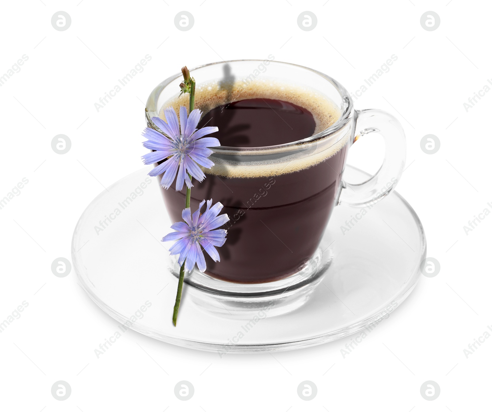 Chicory drink in glass cup and flowers isolated on white Image of Chicory drink in glass cup and flowers isolated on white