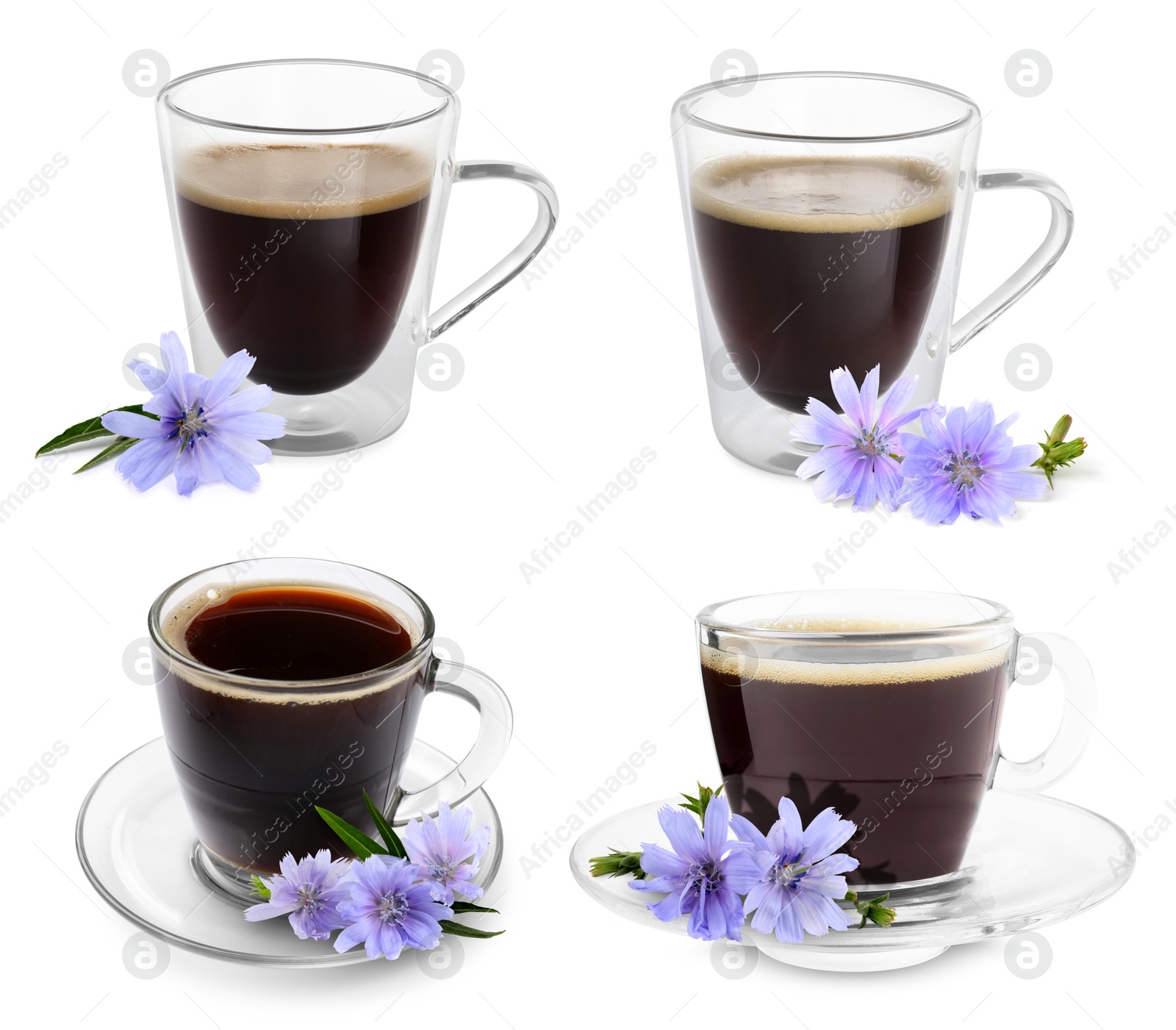 Chicory drink in glass cups and flowers isolated on white, set Image of Chicory drink in glass cups and flowers isolated on white, set