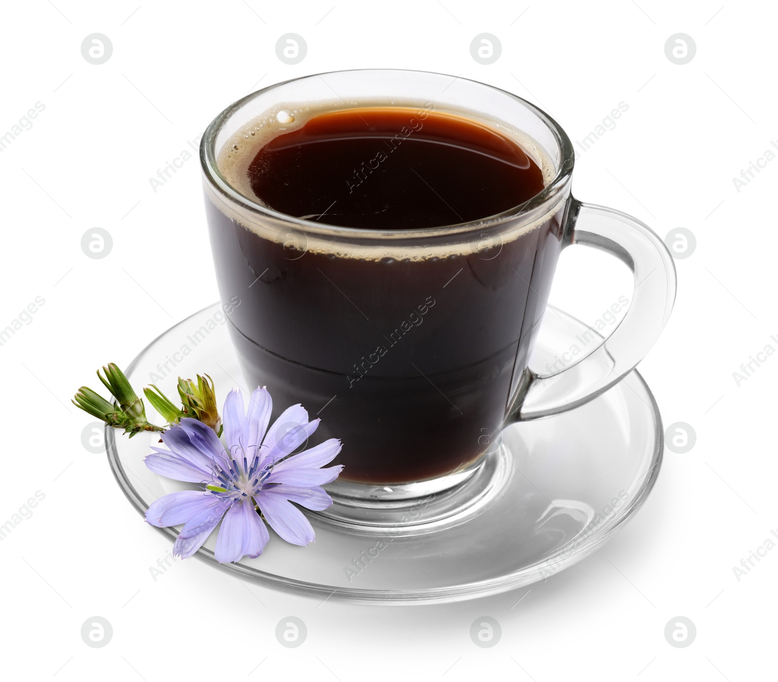 Chicory drink in glass cup and flower isolated on white Image of Chicory drink in glass cup and flower isolated on white