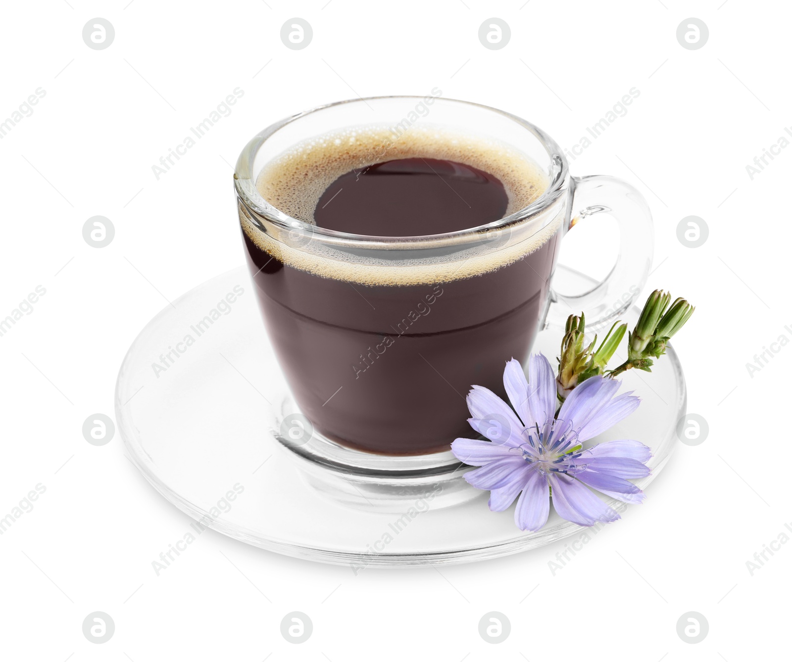 Chicory drink in glass cup and flower isolated on white Image of Chicory drink in glass cup and flower isolated on white