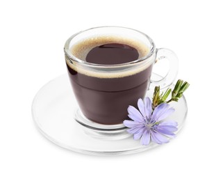 Image of Chicory drink in glass cup and flower isolated on white
