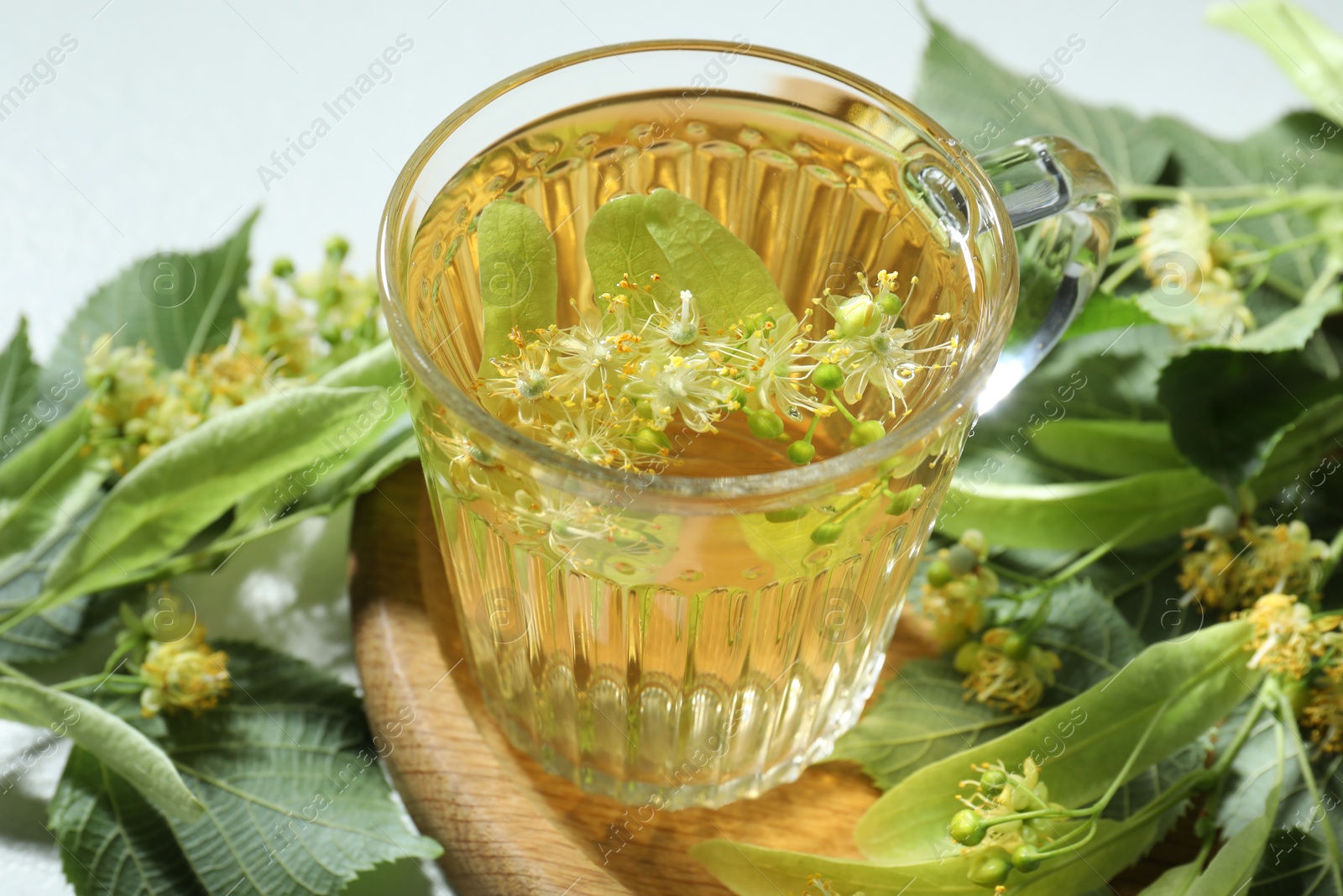 Tasty linden tea in cup, leaves and flowers on light table, closeup Photo of Tasty linden tea in cup, leaves and flowers on light table, closeup