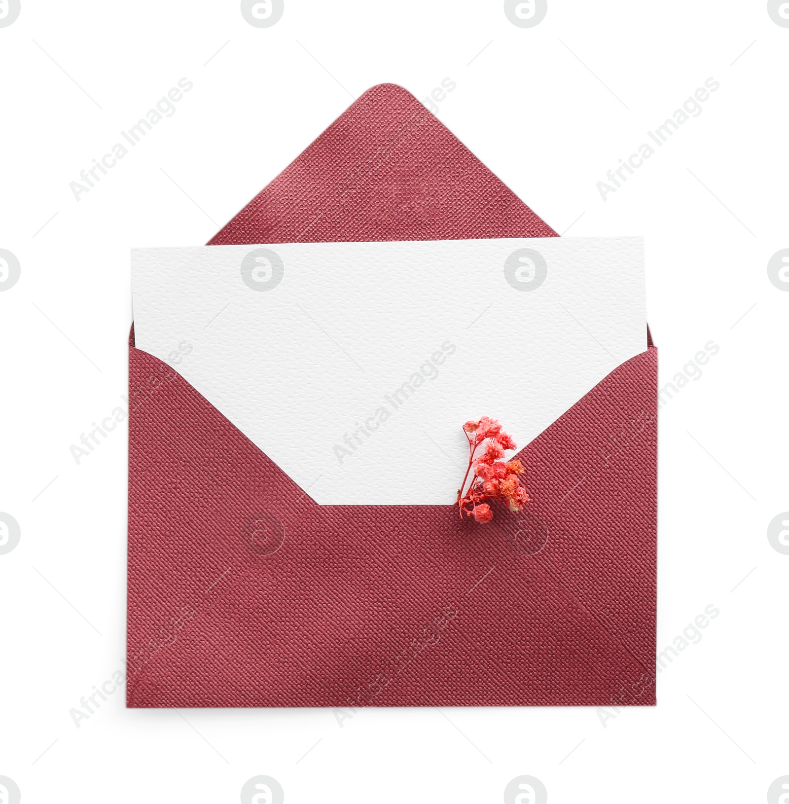 Blank invitation card and envelope with flower isolated on white, top view. Space for design Photo of Blank invitation card and envelope with flower isolated on white, top view. Space for design