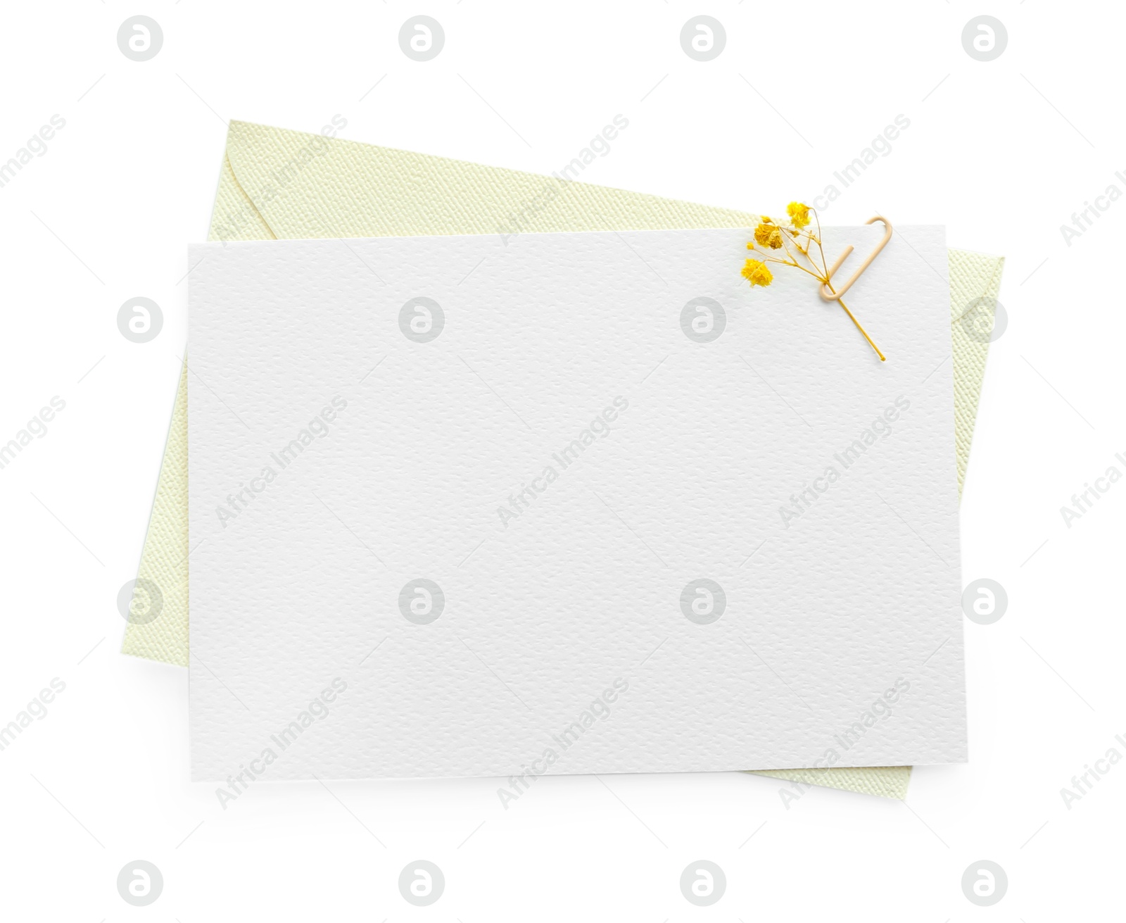 Blank invitation card and envelope with flower isolated on white, top view. Space for design Photo of Blank invitation card and envelope with flower isolated on white, top view. Space for design
